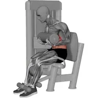 Abdominal Crunches Machine illustration