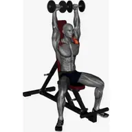 Arnold Press Dumbbell illustration