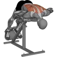 Back Extension Machine illustration