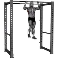 Band Pull Up illustration