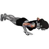 Band Push-up illustration
