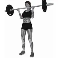 Barbell Curl illustration