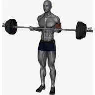 Barbell Drag Curl illustration