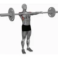 Barbell Front Raise illustration