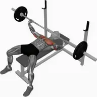Barbell Wide Bench Press illustration