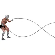 Battle Rope Alternating Arm Waves illustration