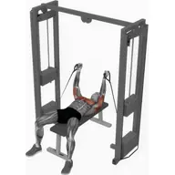 Cable Bench Press illustration
