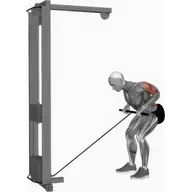 Cable Bent Over Row illustration