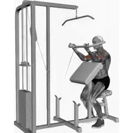 Cable Preacher Curl illustration