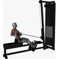 Cable Seated Row With V Bar illustration