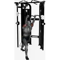 Cable Triceps Overhead Extension (Ez Bar) illustration