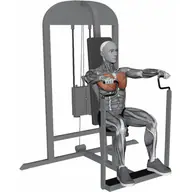 Chest Press Machine illustration