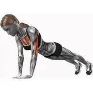 Diamond Push-up illustration