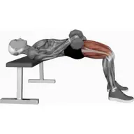 Dumbbell Hip Thrust illustration