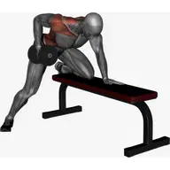 Dumbbell Single Arm Row illustration