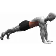 High Plank illustration