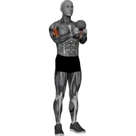Kettlebell Curl illustration