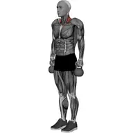 Kettlebell Shrug illustration