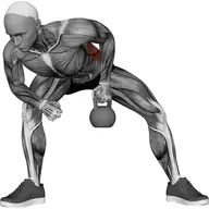 Kettlebell Single Arm Row illustration