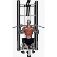 Lat Pull Down Close Grip illustration