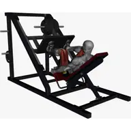 Leg Press Machine Normal Stance illustration