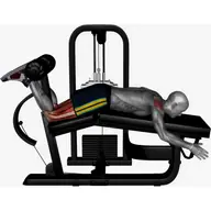 Lying Leg Curl Machine illustration