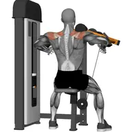 Machine Lateral Raise illustration
