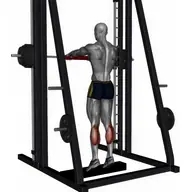 Standing Calf Raises Smith Machine illustration