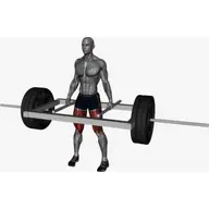Trap Bar Deadlift illustration